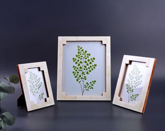 Op de afbeelding: Drie decoratieve fotolijsten met een botanisch thema. De lijsten zijn gebroken wit met een rechthoekig ontwerp. Elke lijst bevat een afdruk van een groene varenachtige plant op een witte achtergrond. De lijsten zijn op een donkere ondergrond geplaatst.