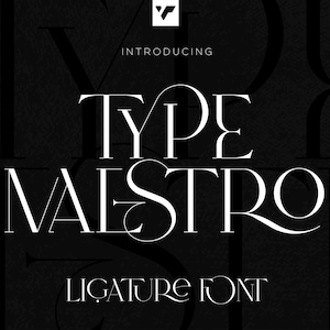 Type Maestro - ligature serif font