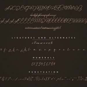 May include: A font alphabet chart with uppercase and lowercase letters, ligatures, numerals, and punctuation marks. The font is a cursive script style with a brown color.