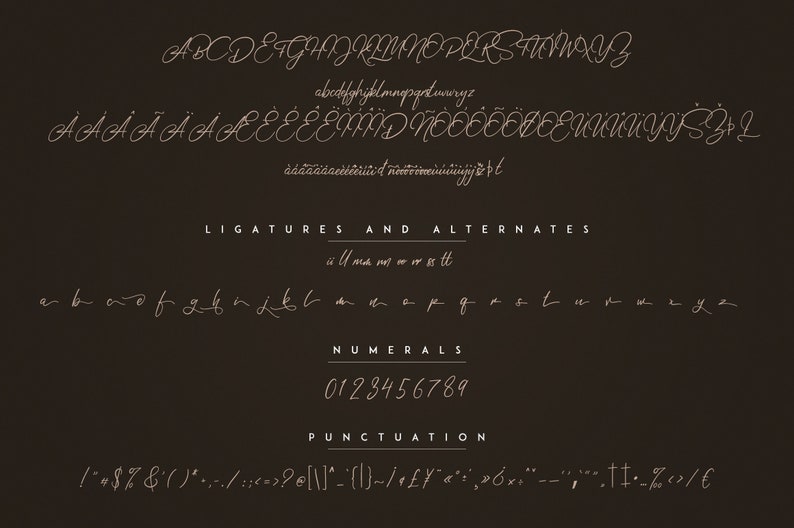 May include: A font alphabet chart with uppercase and lowercase letters, ligatures, numerals, and punctuation marks. The font is a cursive script style with a brown color.