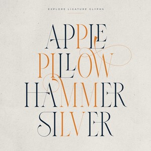 May include: A graphic design featuring the words "APPLE, PILLOW, HAMMER, SILVER" in a serif font. The text is in a combination of navy blue and orange, with decorative ligatures. The words are centered on a cream-colored background.