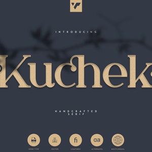 Kuchek - Handcrafted Serif Font