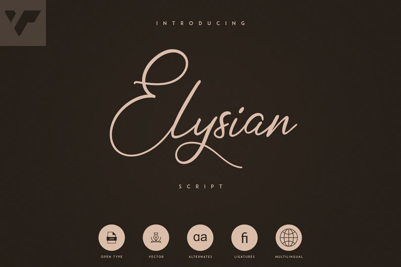 May include: Introducing Elysian Script, a handwritten font with a flowing, elegant style. The font name is displayed in a light brown color against a dark brown background. The image also includes icons for Open Type, Vector, Alternates, Ligatures, and Multilingual support.