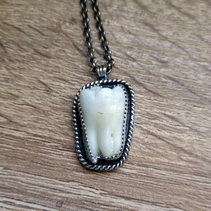 Human Tooth Sterling Silver Pendant Necklace