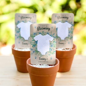Baby Shower Favor for Boys - Baby In Bloom - Boy Baby Shower Favor Idea - Blue Seed Packet Alternative - Personalized