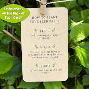 May include: A beige card with instructions on how to plant seed paper, held by a wooden clip. The card reads "How to Plant Your Seed Paper" and provides three steps: soak, cover with soil, and keep moist. A green leaf-shaped sign says "Instructions on the Back of Each Card!"