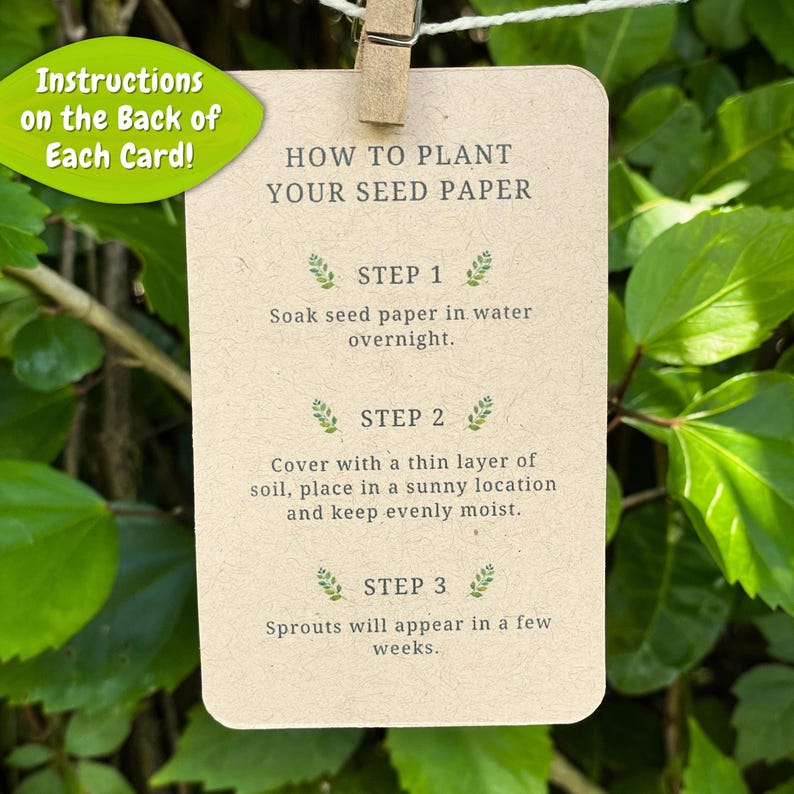 May include: A beige card with instructions on how to plant seed paper, held by a wooden clip. The card reads "How to Plant Your Seed Paper" and provides three steps: soak, cover with soil, and keep moist. A green leaf-shaped sign says "Instructions on the Back of Each Card!"