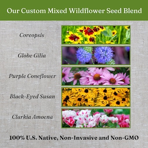 Puede incluir: Una mezcla personalizada de semillas de flores silvestres con cinco paneles horizontales de flores: Coreopsis amarilla, Globe Gilia azul, equin&aacute;cea p&uacute;rpura, Rudbeckia amarilla y Clarkia Amoena rosa y blanca, etiquetada 100% U.S. Native, Non-Invasive and Non-GMO.