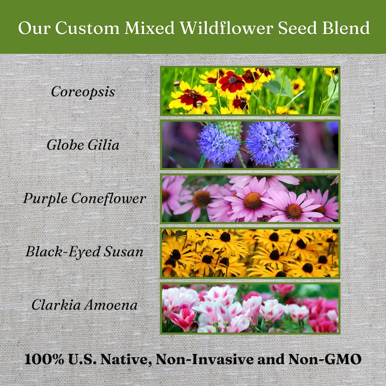 Puede incluir: Una mezcla personalizada de semillas de flores silvestres con cinco paneles horizontales de flores: Coreopsis amarilla, Globe Gilia azul, equin&aacute;cea p&uacute;rpura, Rudbeckia amarilla y Clarkia Amoena rosa y blanca, etiquetada 100% U.S. Native, Non-Invasive and Non-GMO.