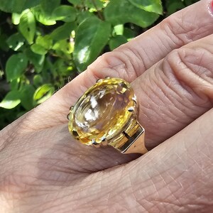 May include: A gold ring featuring a large, oval-cut yellow gemstone. The ring's setting has intricate details, and the gemstone is the focal point. The ring is on a person's finger, with a background of green foliage.