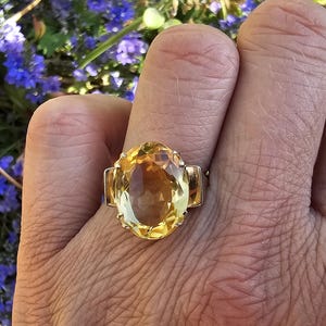 May include: A gold ring featuring a large, oval-cut yellow gemstone. The ring has a simple band with rectangular accents on either side of the gemstone. The ring is set against a background of blue flowers and green foliage.