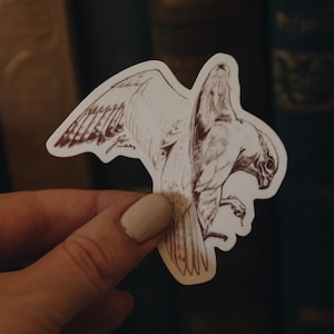 Pode incluir: Um adesivo marrom e branco de um falcão com as asas abertas, em voo. O adesivo é segurado na mão contra um fundo de livros antigos.