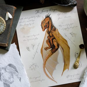 Il Drago della Palude con appunti - Stampa artistica Giclée - Carta pressata a caldo - Arte fantasy - Appunti sul drago - Stampa artistica