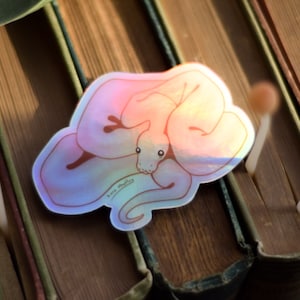 May include: A holographic sticker of a pink snake curled up. The sticker has a rainbow iridescent finish and the text "Born Pretty" is written on the snake's body.