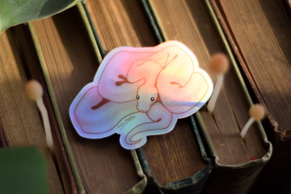 Holographic Ball Python Sticker – Durable Waterproof Vinyl Decal