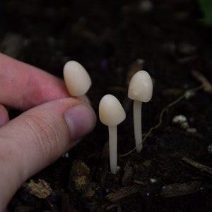 Terrarium Mushrooms — Terrarium Supplies — House Plants — Cute Fantasy PolymerClay Sculpture — mushroom art — mushie — Mushling