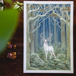 The White Stag in the Dark Woods -  Giclée Art Print - Hot Press Paper - Fantasy Art - Deer - Signed Limited Edition Art Print - Watercolour