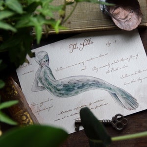 The Selkie with notes - Giclée Art Print - Hot Press Paper - Fantasy Art - Mermaid - Signed Limited Edition Art Print