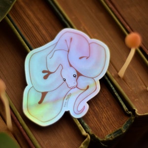 May include: A holographic sticker of a curled up snake with iridescent blue and pink colors.