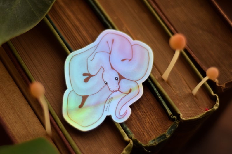 May include: A holographic sticker of a curled up snake with iridescent blue and pink colors.