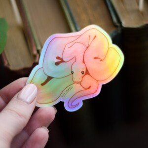 May include: A holographic sticker featuring a pink and iridescent snake curled up in a ball. The sticker has a rainbow sheen and is perfect for adding a touch of whimsy to any surface.
