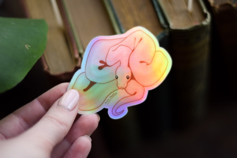 May include: A holographic sticker featuring a pink and iridescent snake curled up in a ball. The sticker has a rainbow sheen and is perfect for adding a touch of whimsy to any surface.