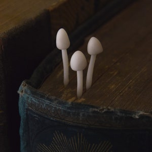 Glowing Bookcase Mushrooms — Book Supplies — Library Decor — Cute Fantasy PolymerClay Sculpture — mushroom art — mushie — Mushling