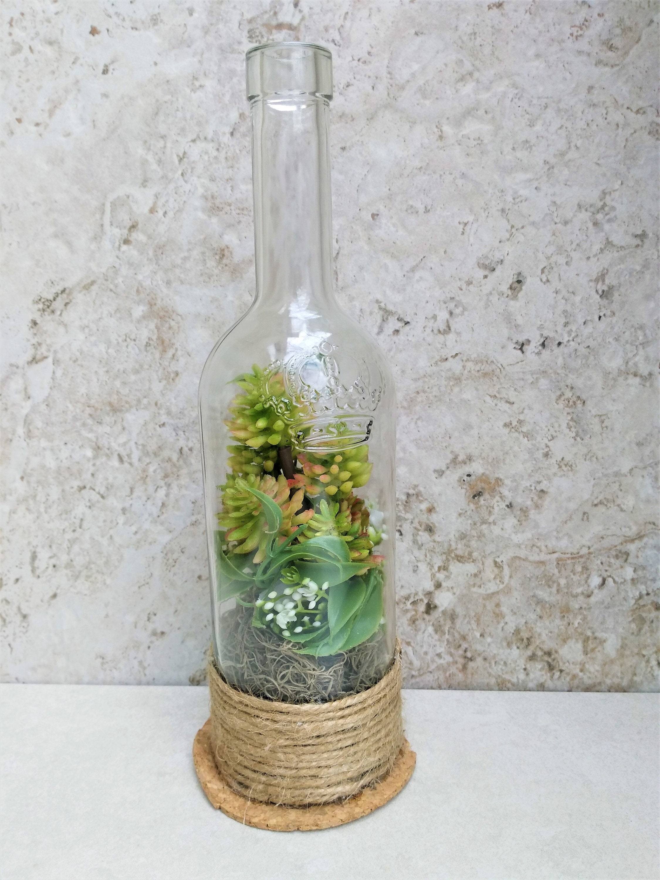 Terrarium Wine Bottle Glass Terrarium Backyard Decor Wine Etsy
