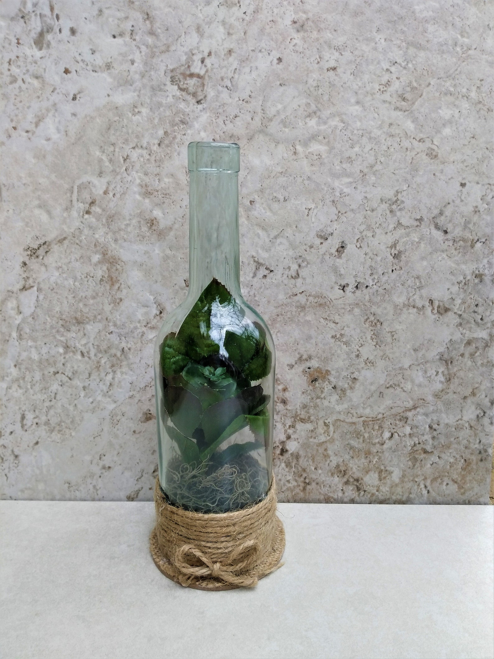 Terrarium Wine Bottle Glass Terrarium Backyard Decor Wine Etsy