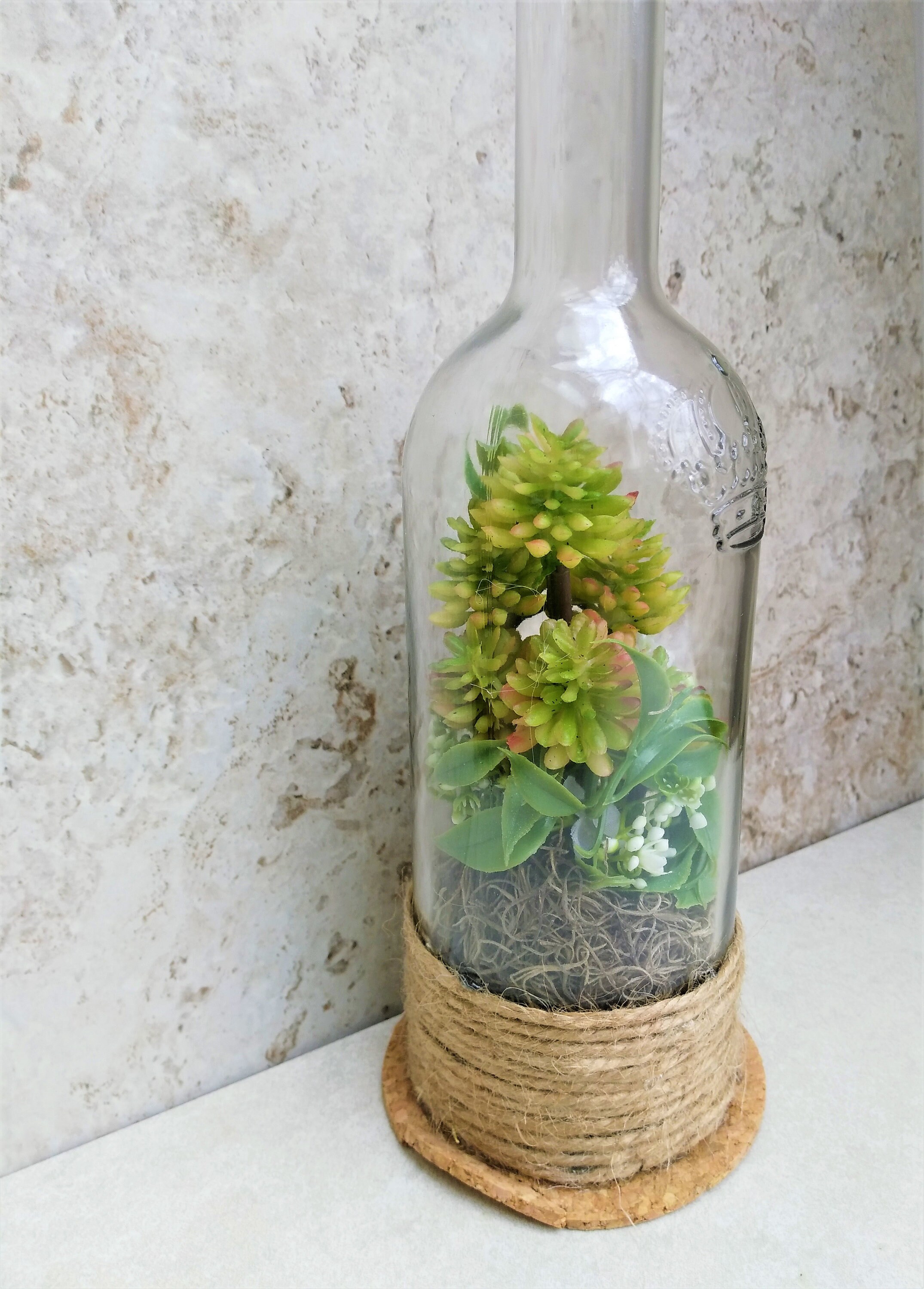 Terrarium Wine Bottle Glass Terrarium Backyard Decor Wine Etsy
