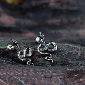 snake earrings
snake jewelry
stud earrings
gothic earrings
animal earrings
goth earrings
silver stud earrings
witchy jewelry
gothic jewelry
nature jewelry
sterling silver
screw back earrings
unique earrings