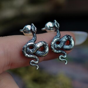 snake earrings
snake jewelry
stud earrings
gothic earrings
animal earrings
goth earrings
silver stud earrings
witchy jewelry
gothic jewelry
nature jewelry
sterling silver
screw back earrings
unique earrings