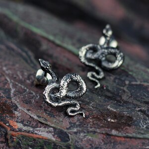 snake earrings
snake jewelry
stud earrings
gothic earrings
animal earrings
goth earrings
silver stud earrings
witchy jewelry
gothic jewelry
nature jewelry
sterling silver
screw back earrings
unique earrings