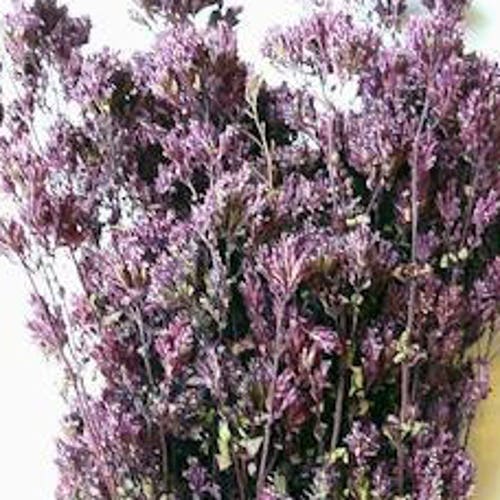 Santa Cruz Dried Oregano Dried Herbs Dried Purple Flowers Etsy