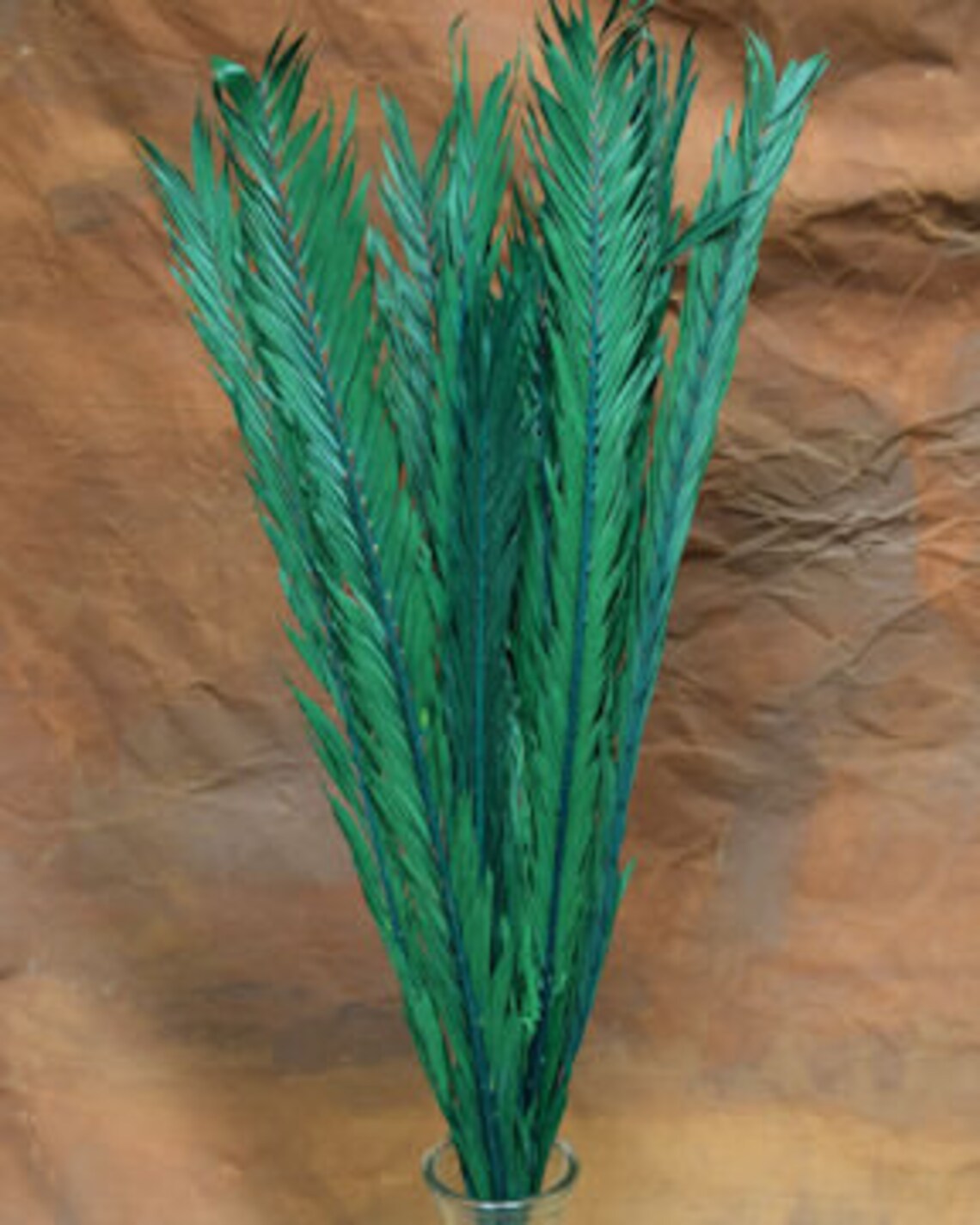 Dried Palm Leaves Dried Palm Fronds Dried Palm Dried Etsy