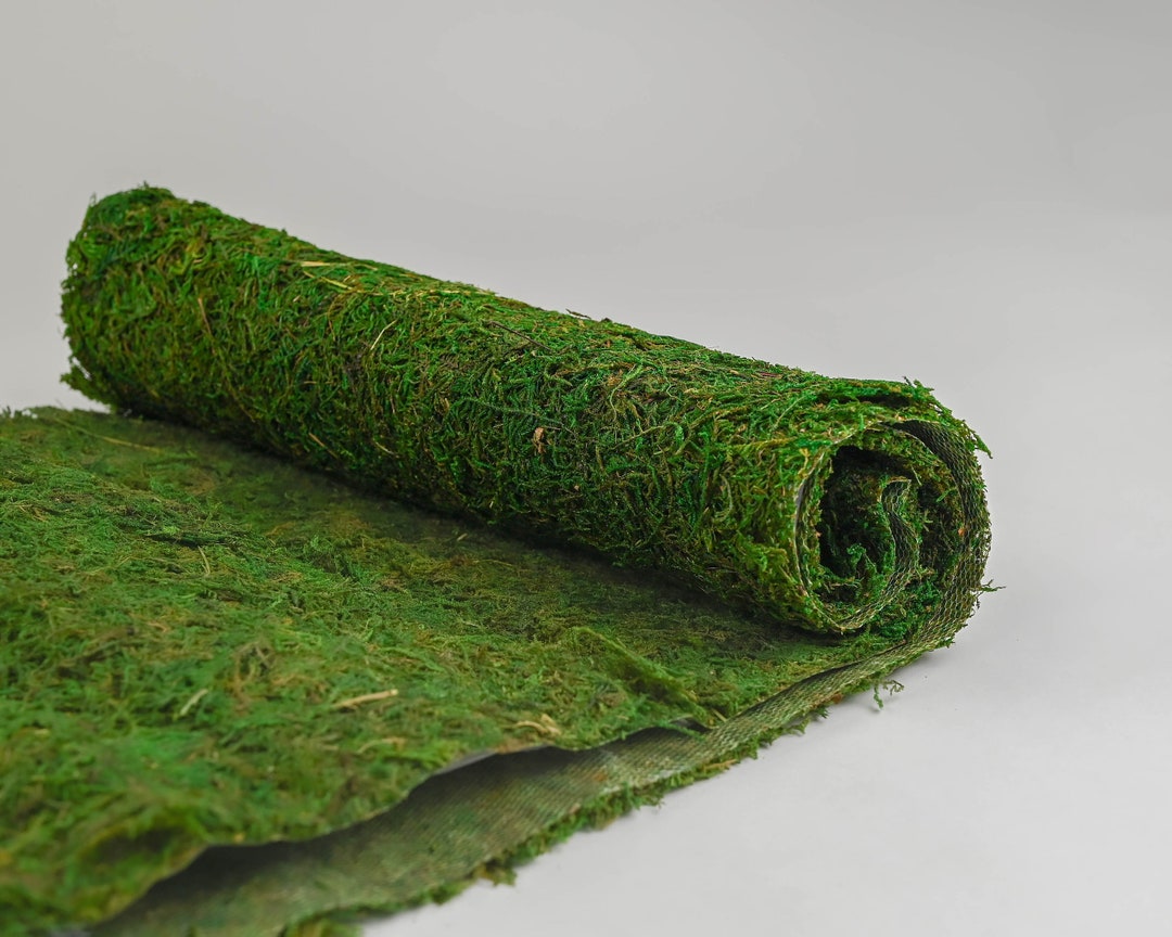Moss Table Runner 14 X 48 Dried Moss Moss Runner Etsy UK