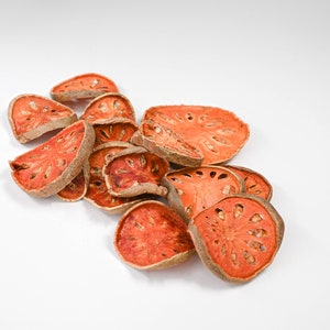 Quince Slice | Dried Quince | Dried Fruit | Natural Decor | Dried Decorations