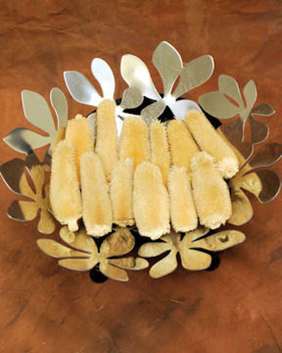 Dried Thistle Heads Dried Plants Dried Decor Natural Etsy