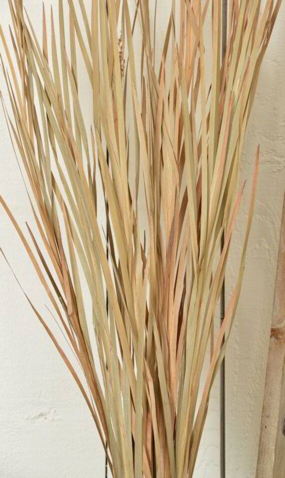 Wild Grass Ornamental Wild Grass Dried Grass Dyed Grass Etsy