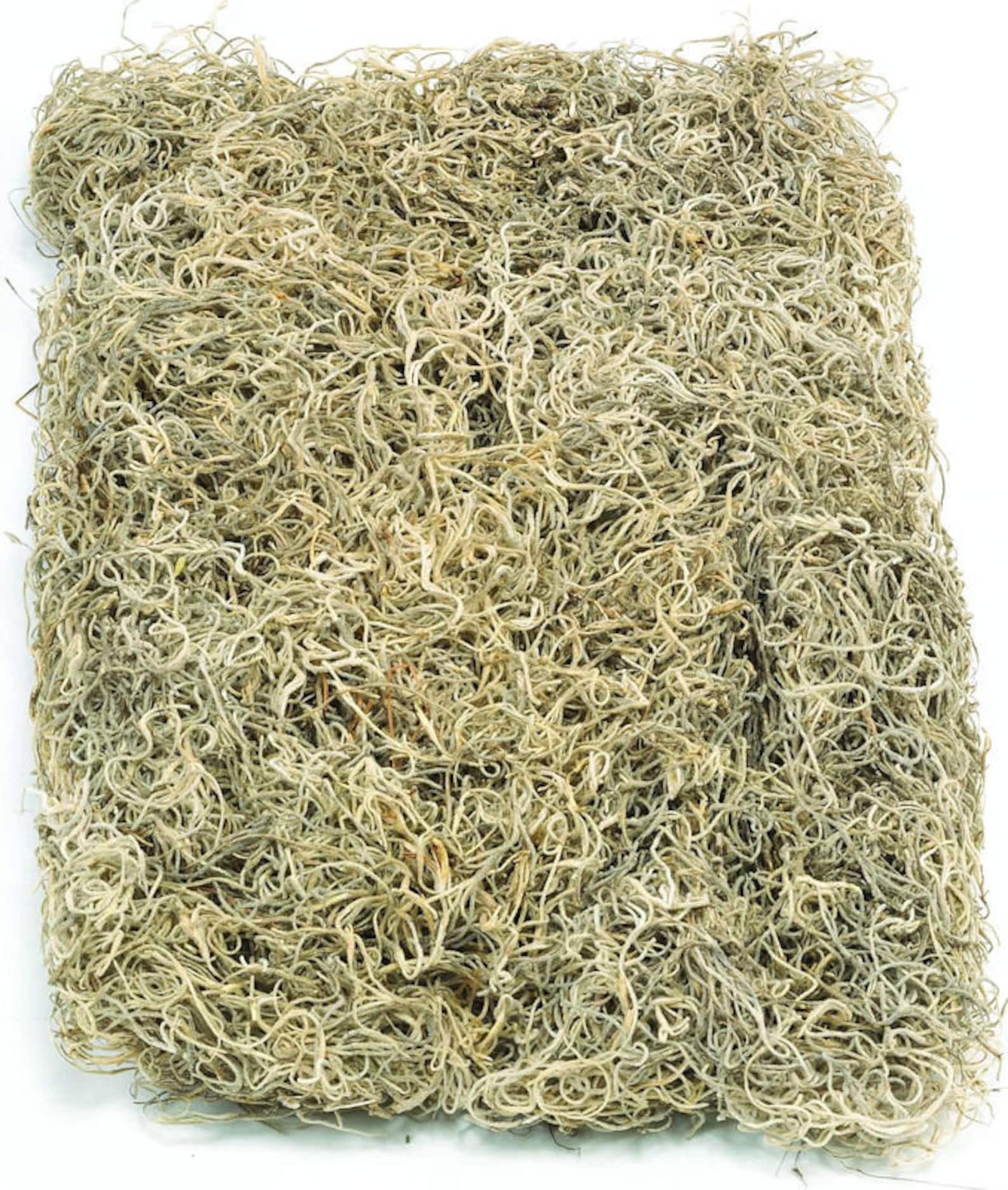 Dried Spanish Moss Dried Moss Natural Moss Decorative Etsy