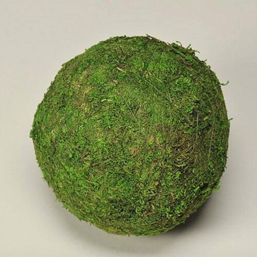 Decorative Moss Balls Natural Moss Balls Decorative Balls Etsy