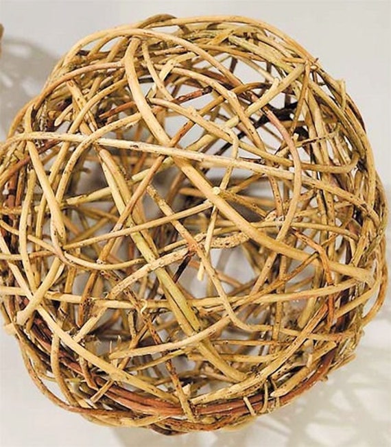 Curly Willow Decorative Ball Bowl Filler Curly Willow Etsy