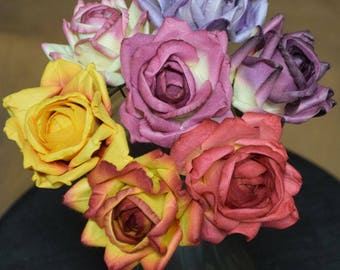 Parchment Colour Roses Parchment Roses - Etsy