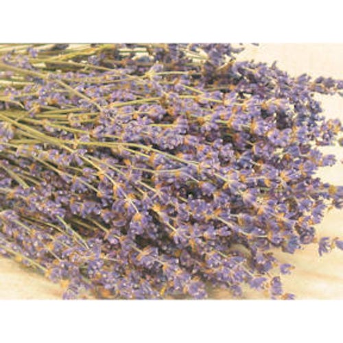 Dried English Lavender Lavender Bouquet Lavender Bunches Etsy