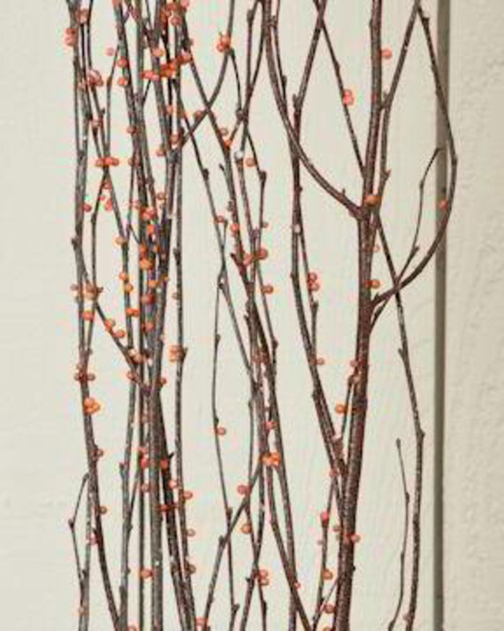 Birch Branches Bittersweet Birch Branch Orange Dried Etsy