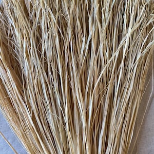Natural Raffia | 10-20 Bundles | Color Options Available