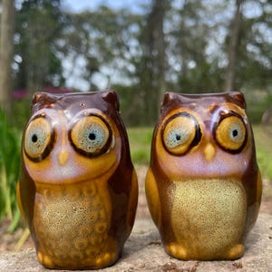 May include: Two ceramic owl figurines with brown, yellow, and blue tones. The owls have large, round eyes and are perched upright. The figurines are glazed and have a glossy finish. They are likely decorative items.