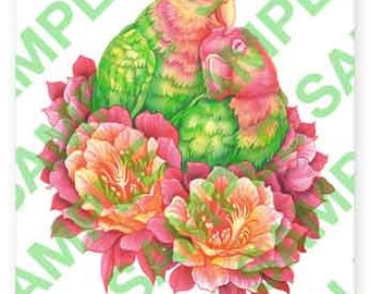 Lovebirds with Cactus flowers