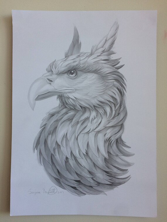 Griffin Pencil Drawing A3 Etsy