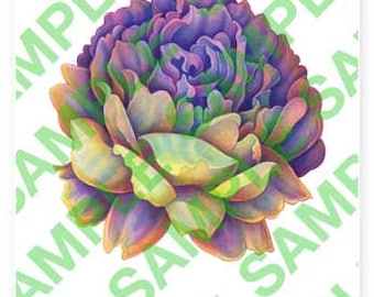 Rainbow Rose A4 digital PDF download